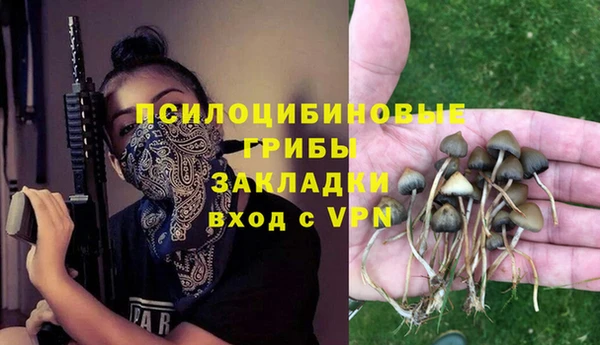 синтетический гашиш Лабытнанги