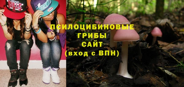 винт Лиски