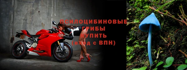 винт Лиски