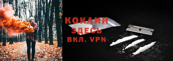 винт Лиски